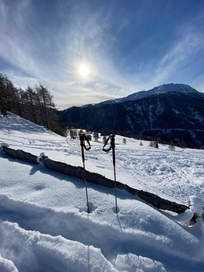 Schwarzhaus Lägenhet Monticolo Exteriör bild